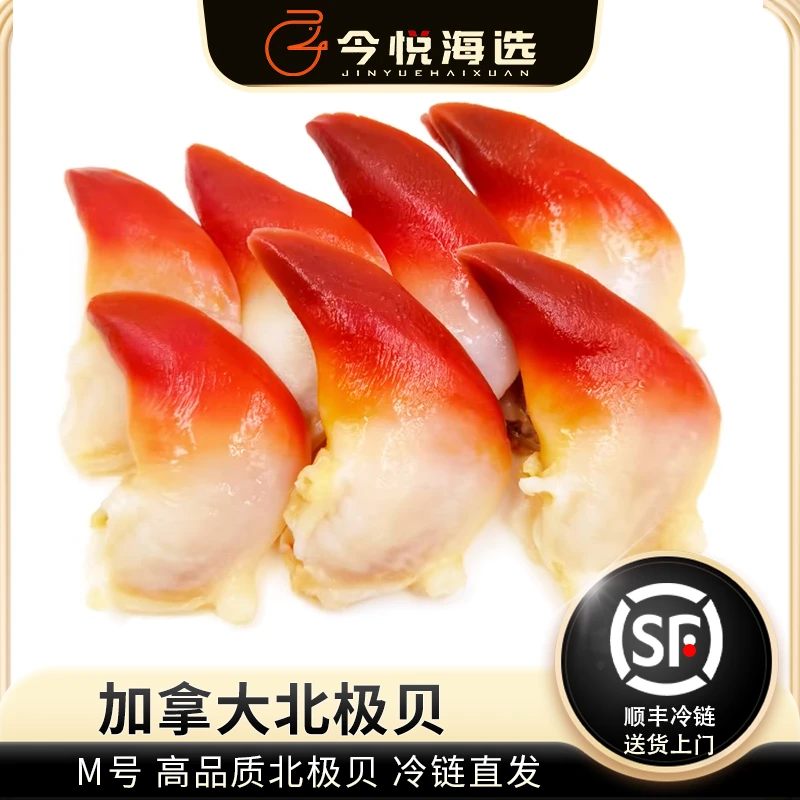 加拿大北极贝S型号50g 刺身鲜甜爽脆野生北极贝盒装解冻食用包邮