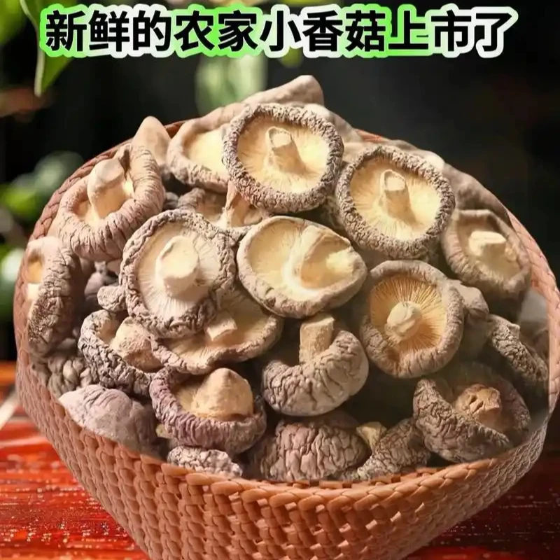 贵州农家特产香菇干货肉厚无根可炖煮菌汤营养美味