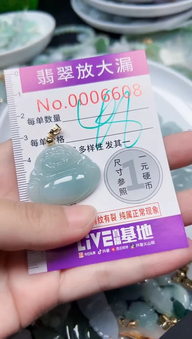 颈饰未镶嵌翡翠6608