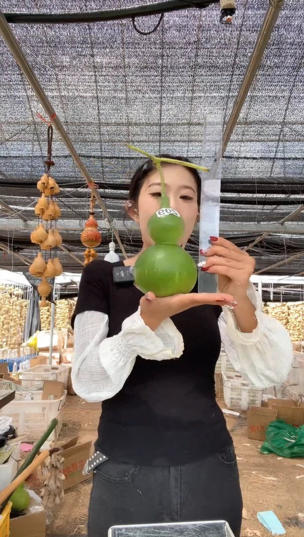 209天然葫芦摆件 一物一拍龙头不保售后