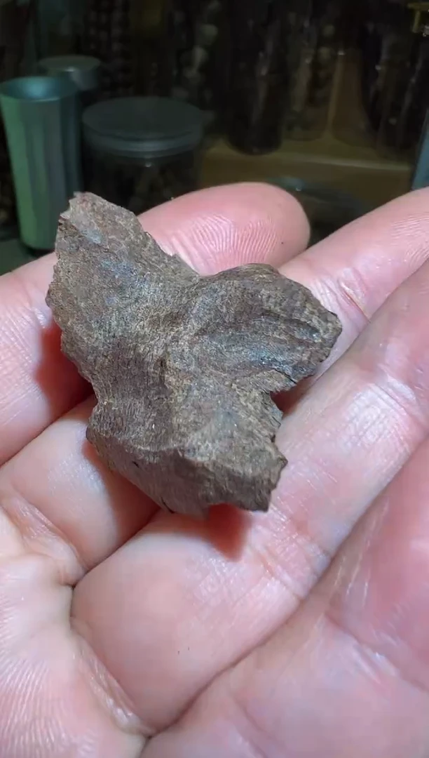 沉香沉香碎屑芽庄2.2克