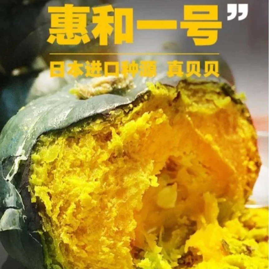 【惠和一号贝贝南瓜】最好吃的小南瓜！2个装