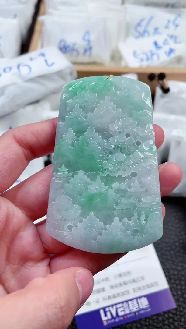 【闪购商品】翡翠颈饰未镶嵌00000494