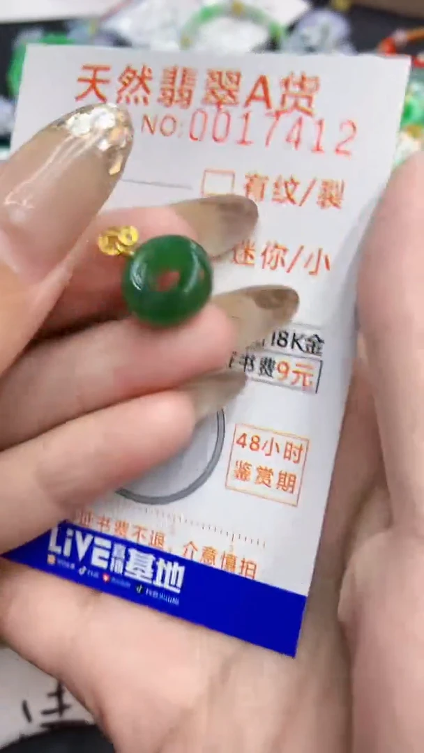 翡翠未镶嵌颈饰           1