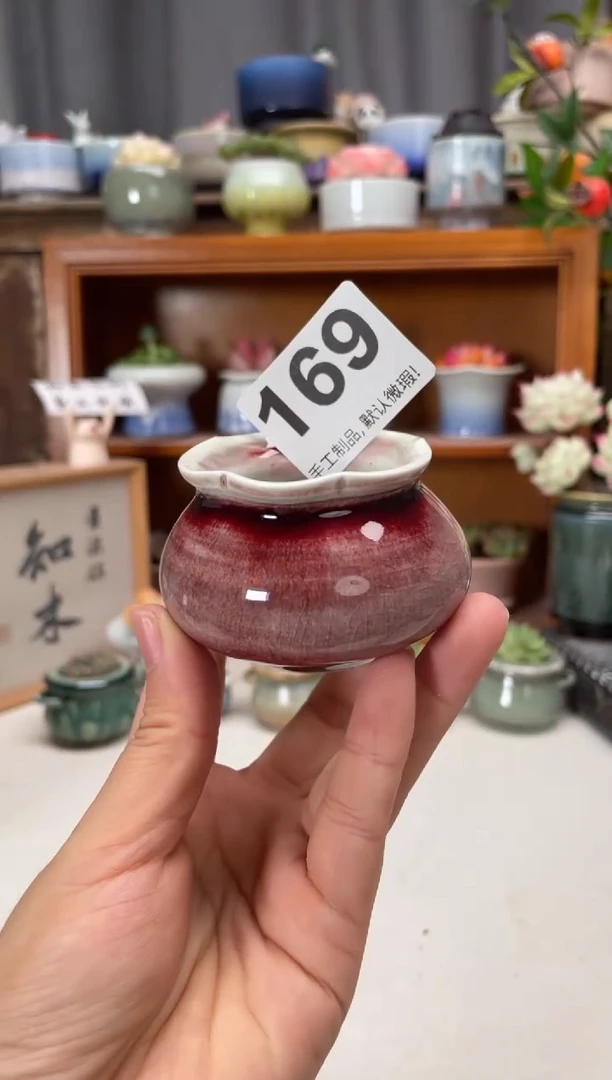 瓷片169知木小芳花盆编号