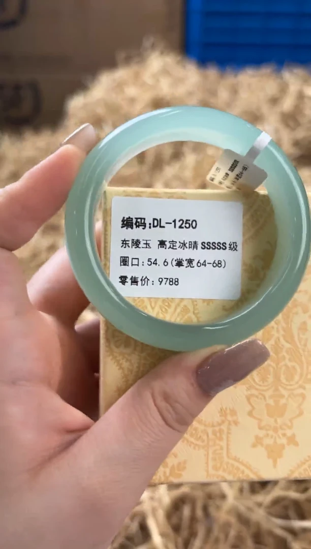 未镶嵌手镯石英质玉DL-1250