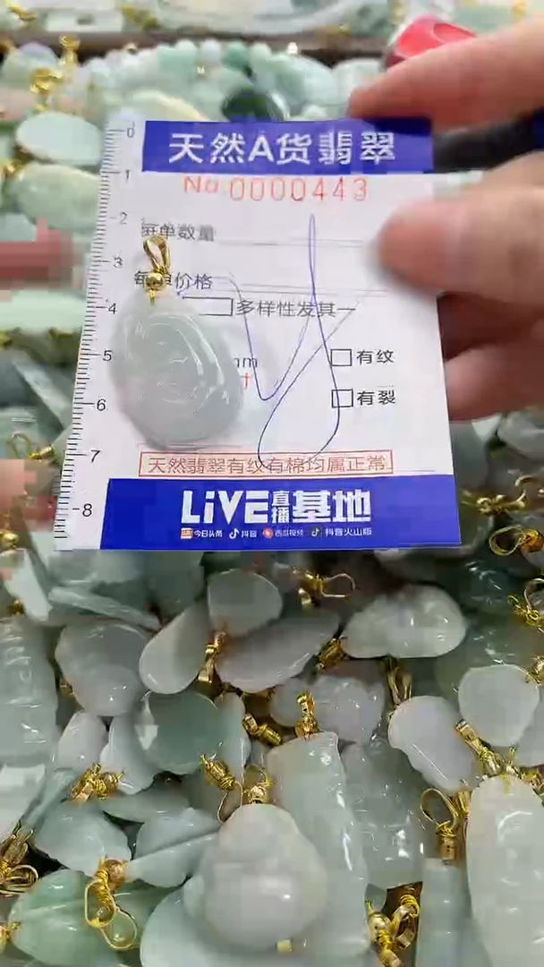 颈饰未镶嵌翡翠纯天然a货翡翠