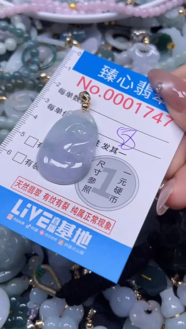 颈饰未镶嵌翡翠1747