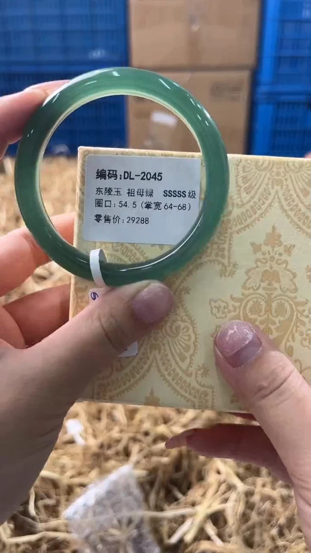 未镶嵌手镯石英质玉DL2045