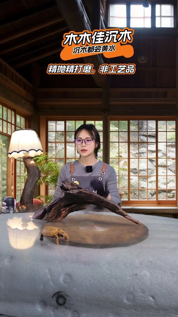 s****n木木佳沉木鱼缸造景