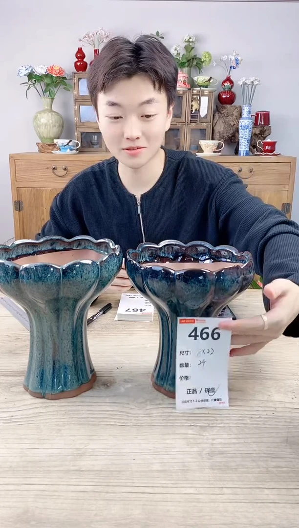晴好园艺直播编号466