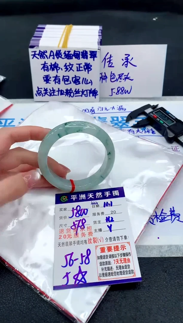 未镶嵌手镯翡翠111111111