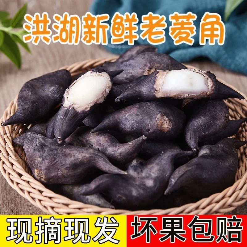 洪湖新鲜老菱角湖北特产黑菱角牛角现摘现发老菱角应季蔬菜水果