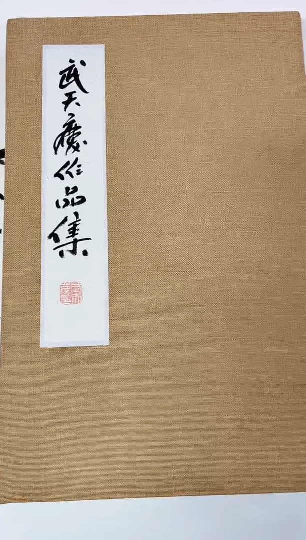 国画美**真武天庆老师册页