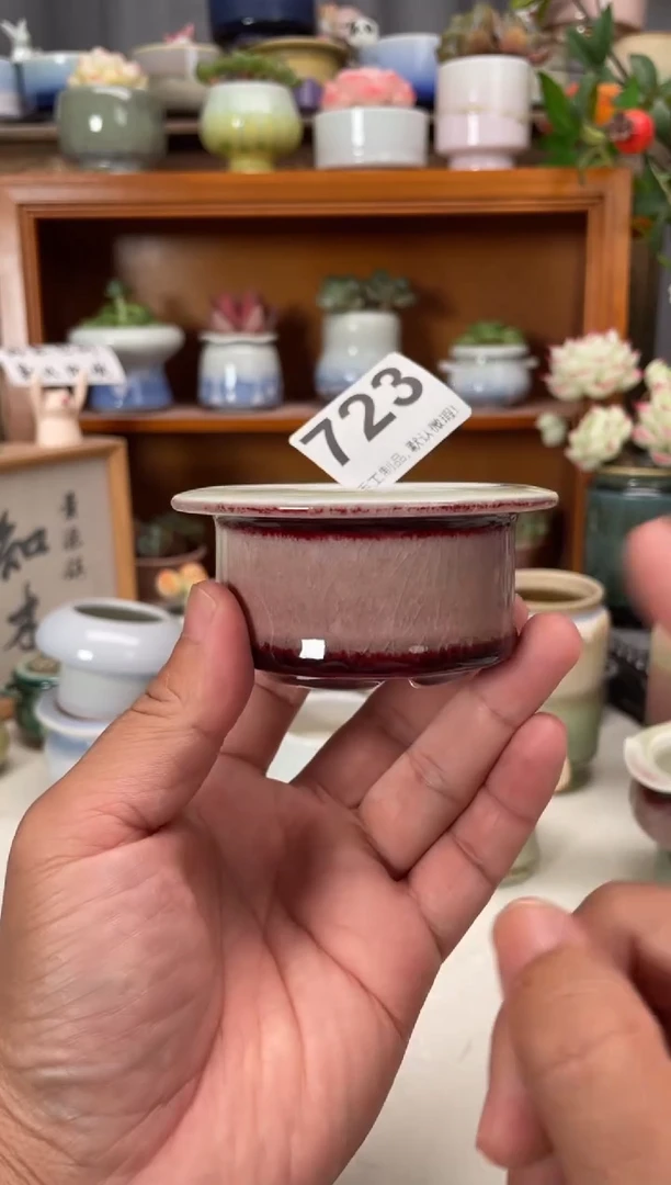 瓷片723知木花盆小芳