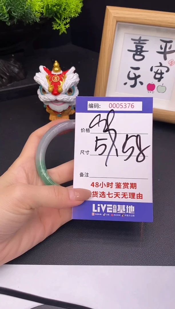 未镶嵌手镯翡翠0005376