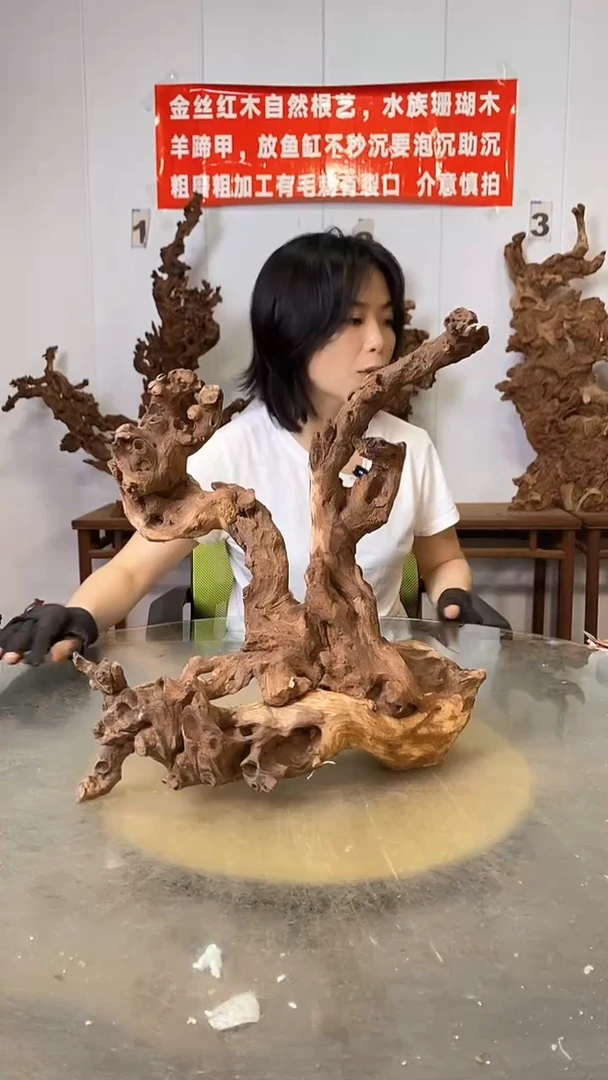 香榧木王*金丝红木   羊蹄甲