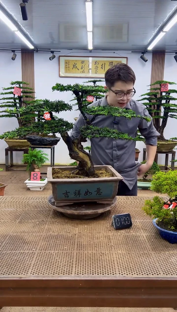 无花朵一物一拍，所见即所得