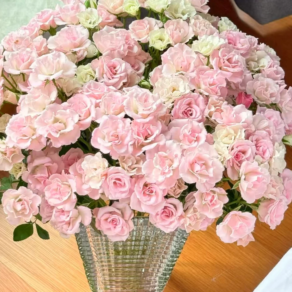 【一品花集】【桃花醉】——多头玫瑰10支