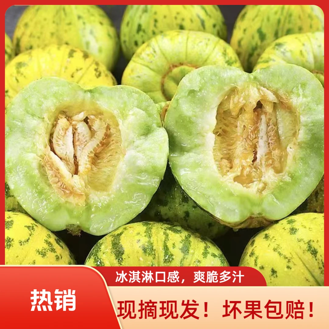 【头茬甜瓜】山东花美人甜瓜新鲜包邮当季时令脆瓜蜜甜现摘现发蜜罐
