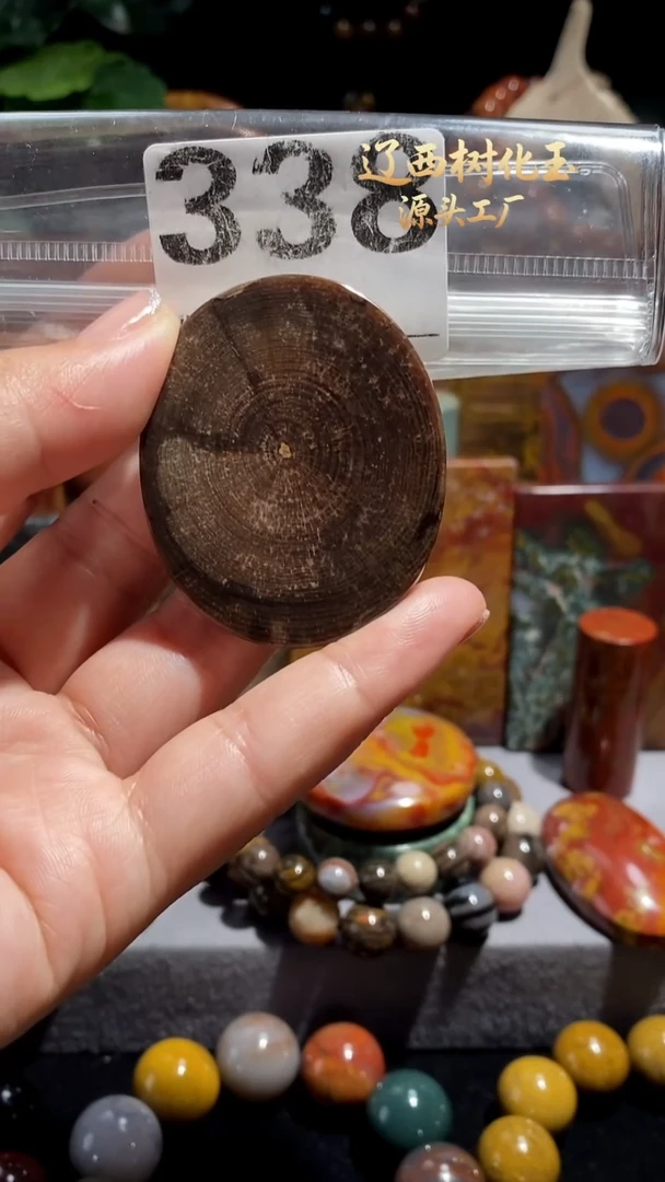 未镶嵌-硅化玉天然北票硅化玉吊坠