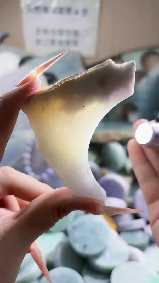 翡翠未镶嵌颈饰翡翠A货 江谭904