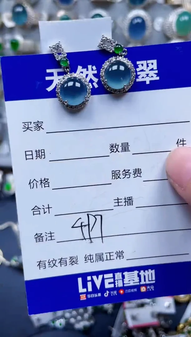 银S925镶嵌翡翠耳饰497