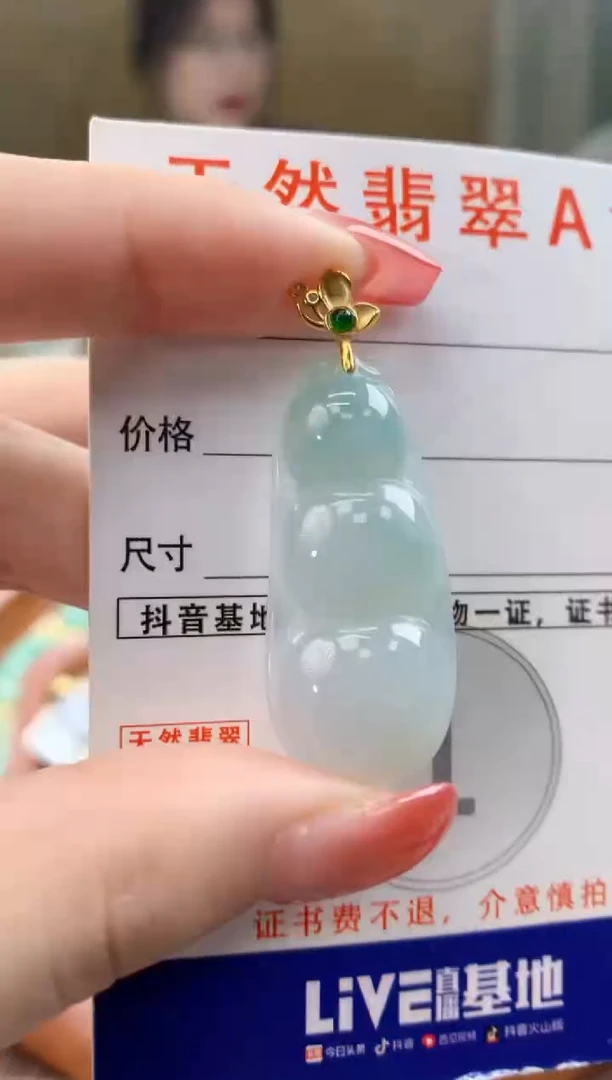 颈饰未镶嵌翡翠天然A货翡翠挂件