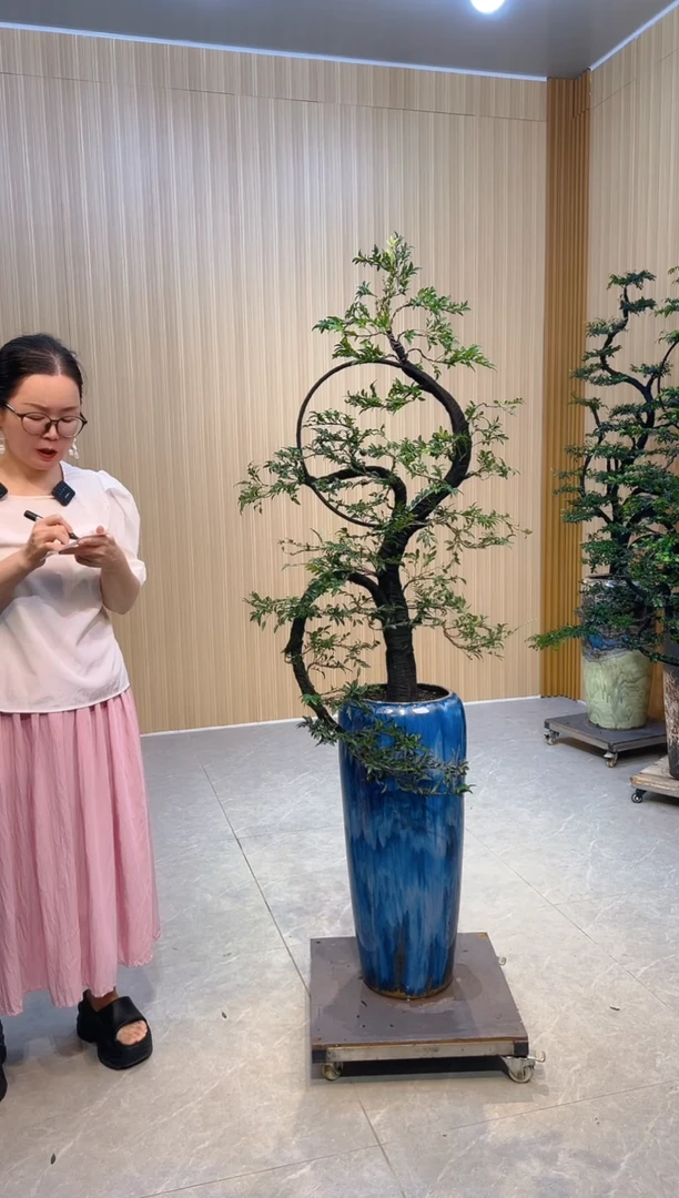 无花朵叫***总小叶紫檀小叶紫檀