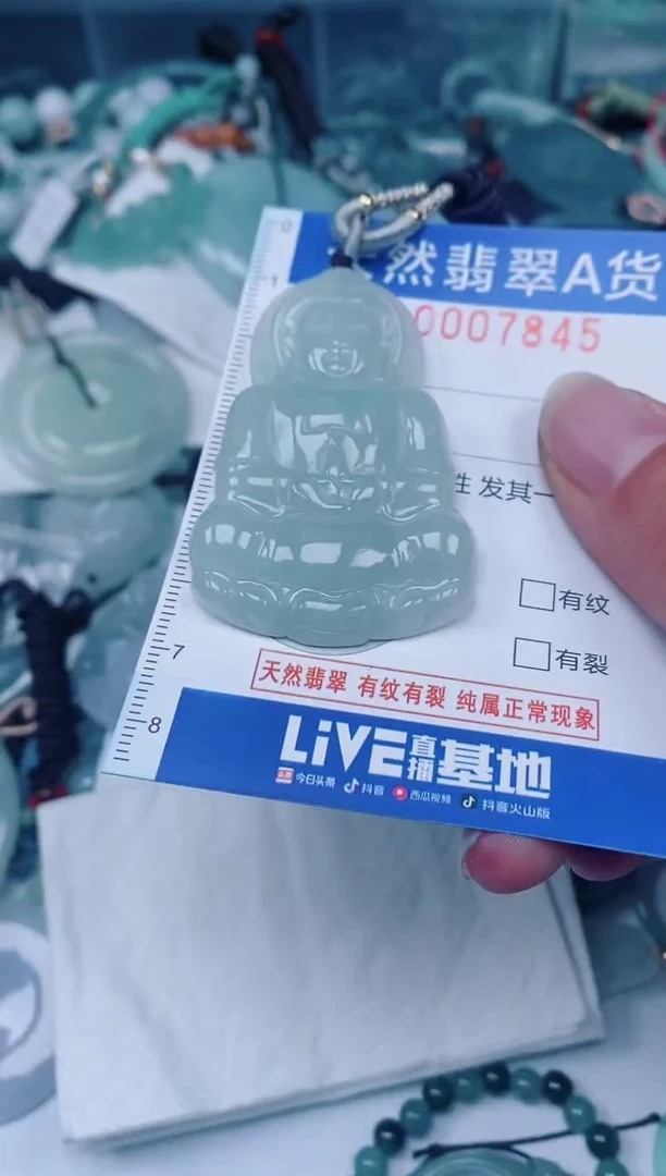 颈饰未镶嵌翡翠00007845