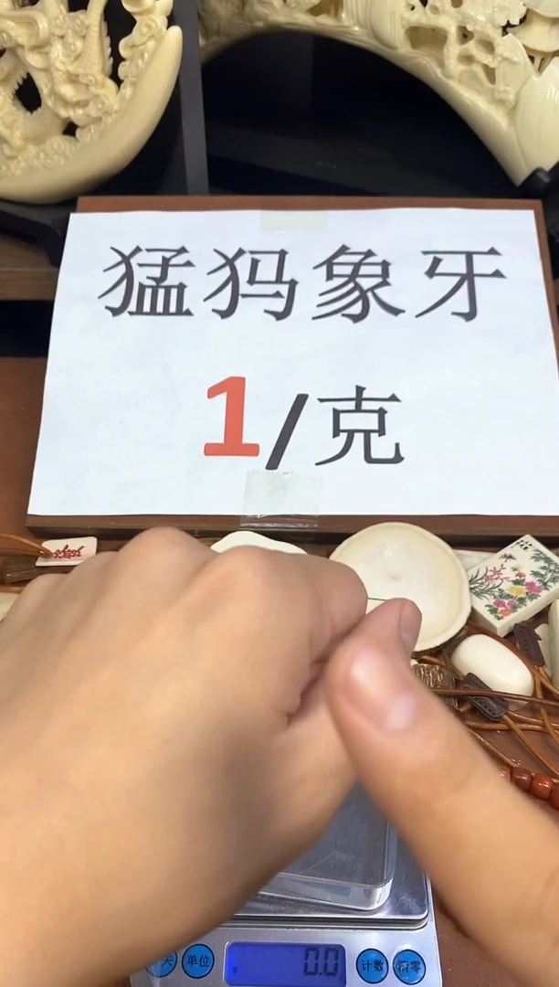 猛犸袅袅18m圆珠单颗