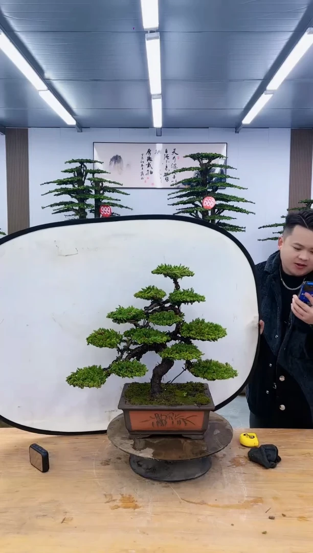 以实际为准00000000