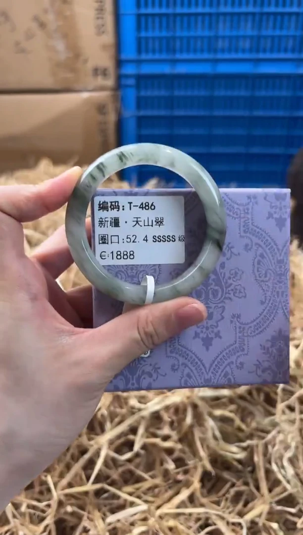 未镶嵌手镯石英质玉T-486