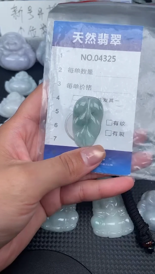 颈饰未镶嵌翡翠纯天然A货翡翠4325