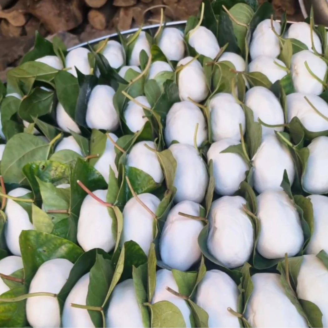 湖南邵阳传统手工早餐桐子叶粑粑老客粑七月半粑粑正宗