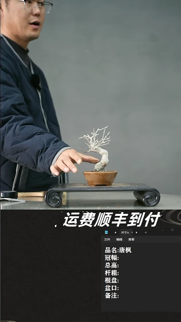 【闪购商品】79  唐枫