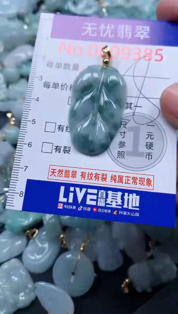 颈饰未镶嵌翡翠9385