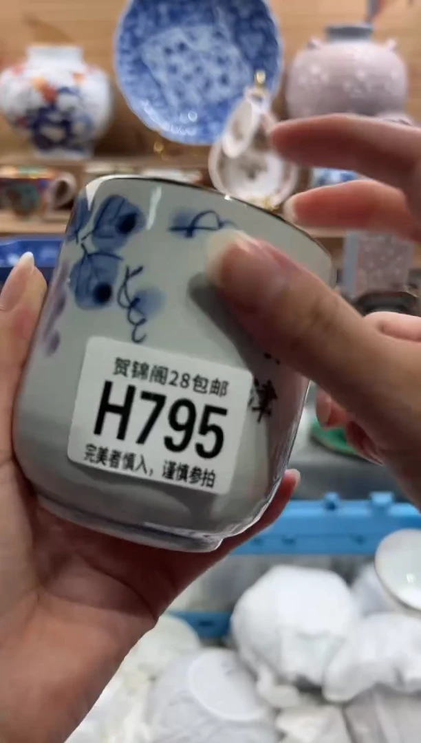 瓷片一****子       H795