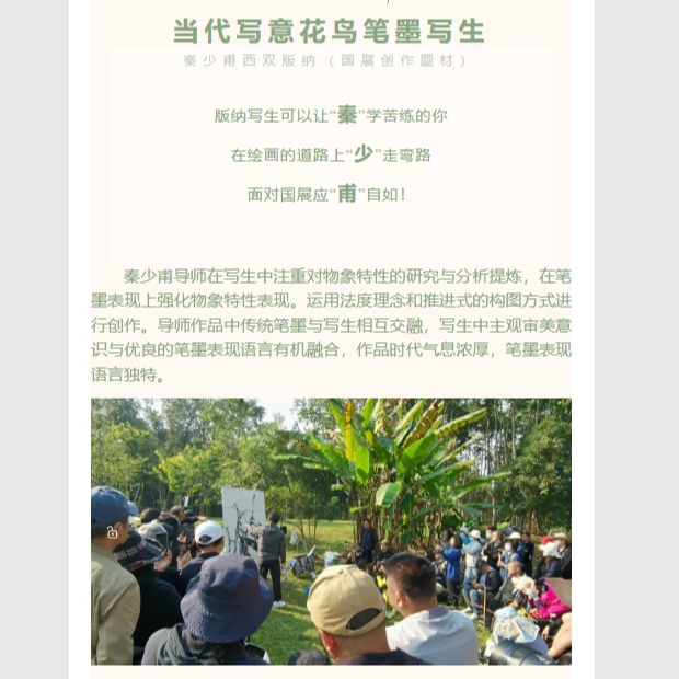 秦少甫当代写意花鸟笔墨线上课程