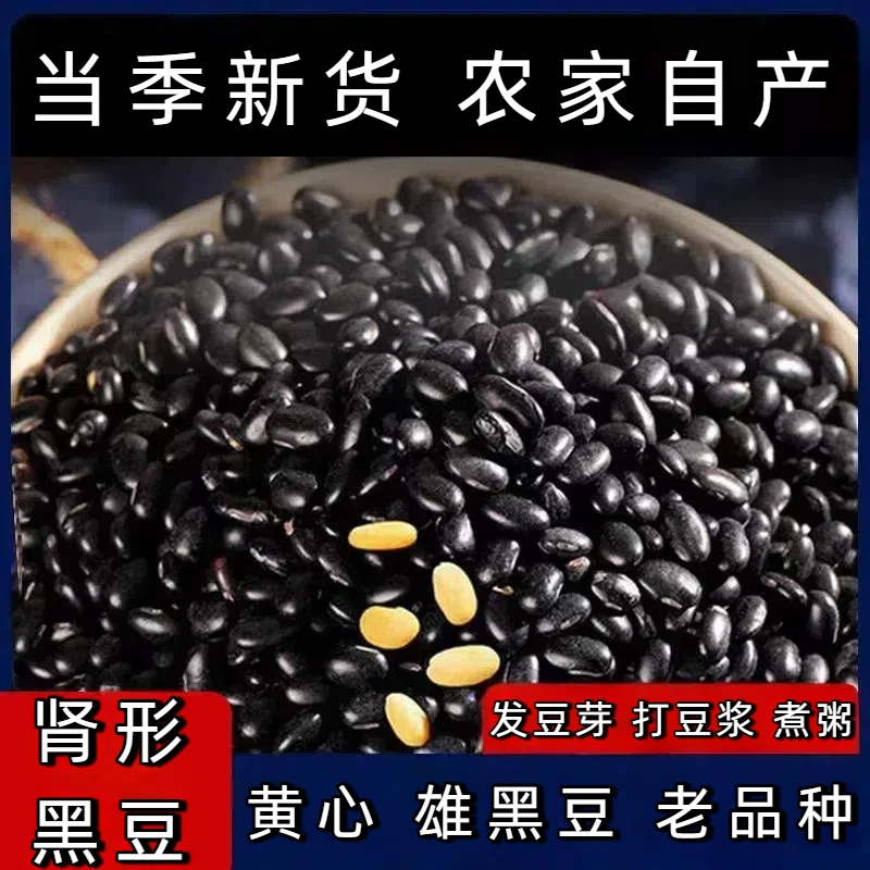 肾形黑豆 黄心黑豆大黑豆雄黑豆 纯黑豆农家自产新豆五谷杂粮煮粥