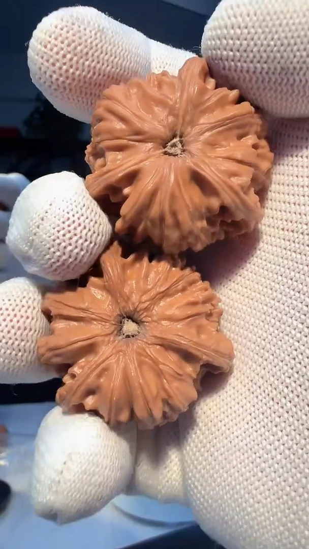 大叶紫檀（黑酸枝木类）008 三棱