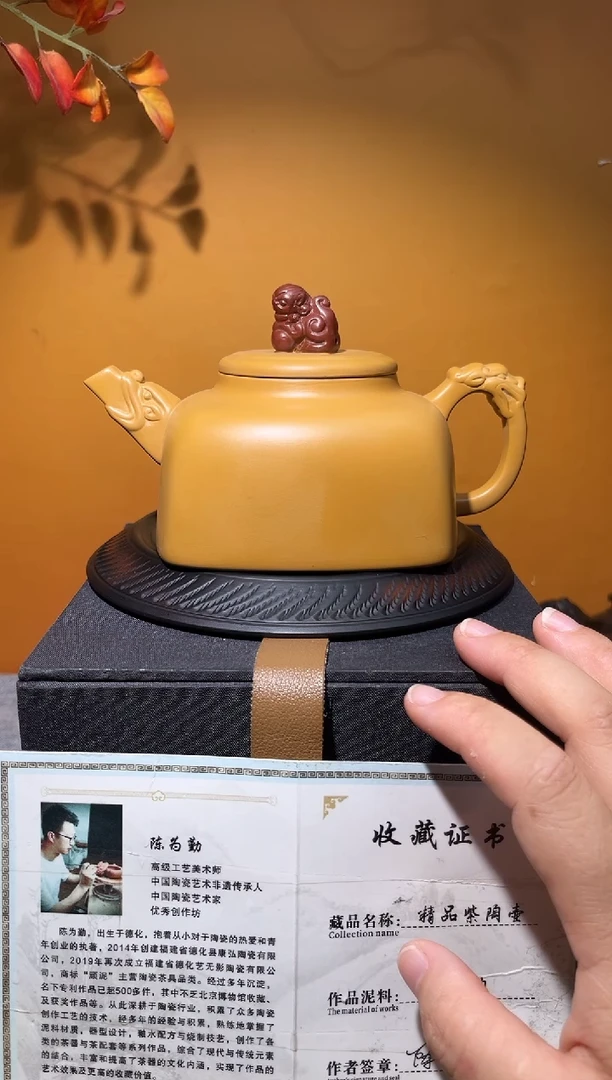 茶具紫砂段泥四方龙尊111