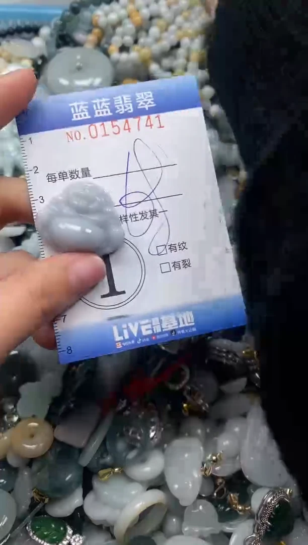 【闪购商品】翡翠颈饰未镶嵌闪购0154741