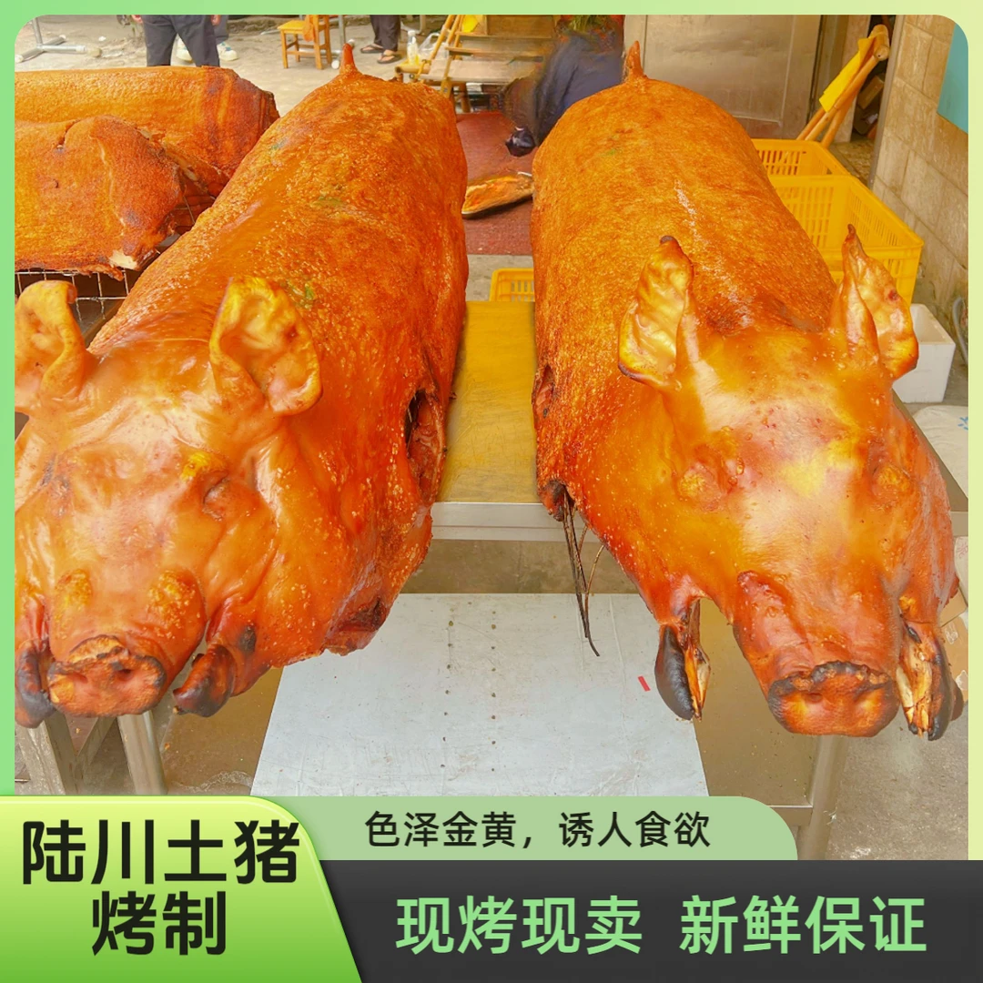 买1斤送1斤到手两斤陆川烤土猪脆皮金黄整只烤猪加热即食抽真空发顺丰