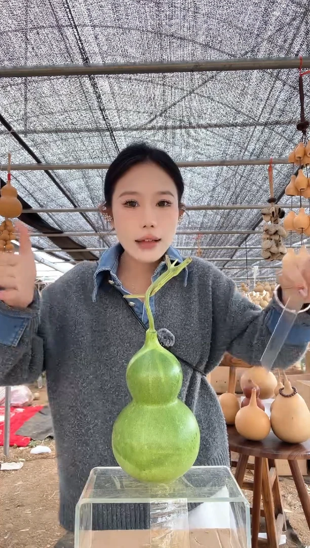 862天然葫芦摆件 一物一拍龙头不保售后