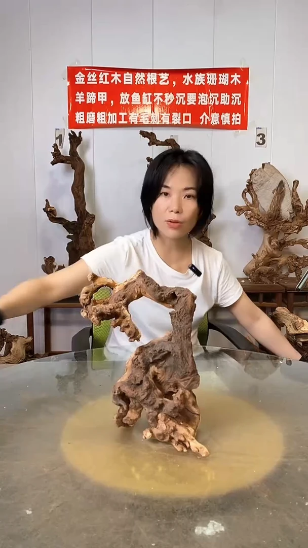 香榧木戚*学金丝红木   羊蹄甲