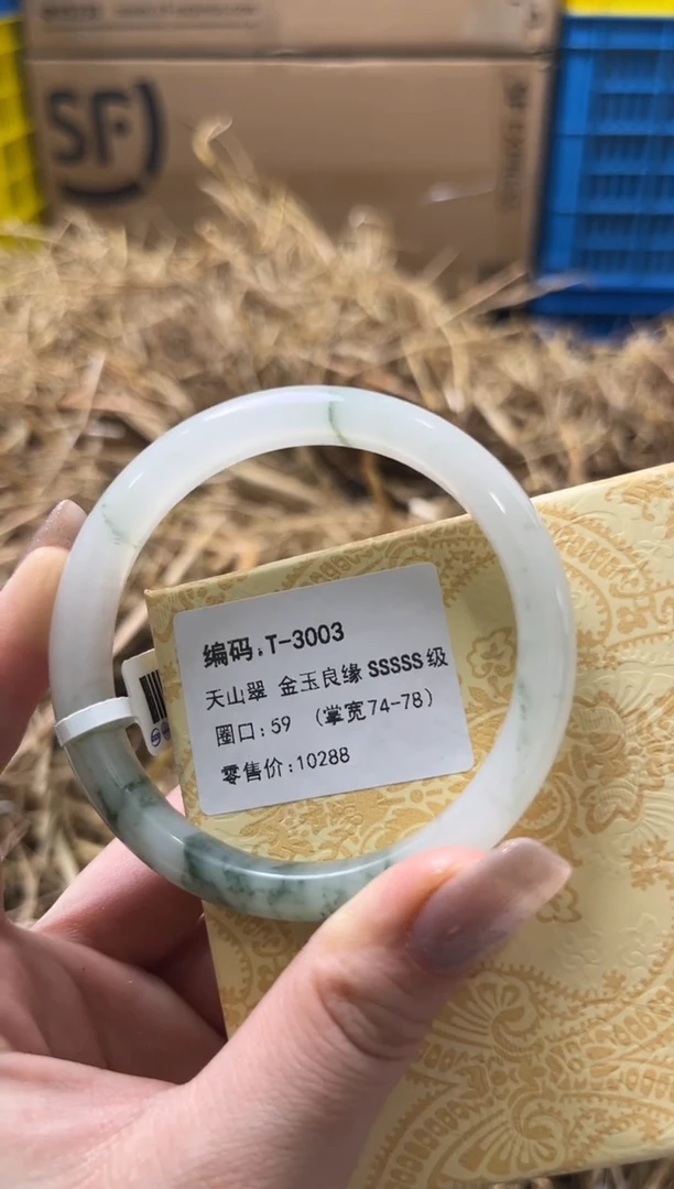 未镶嵌手镯石英质玉T-3003