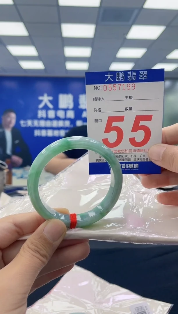 未镶嵌手镯翡翠AAAAAAAAAA