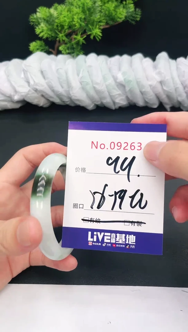 未镶嵌手镯翡翠09263