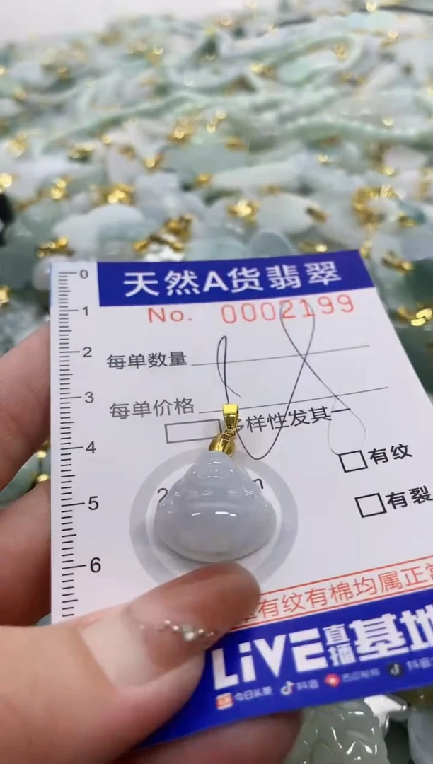 颈饰未镶嵌翡翠天然A货翡翠